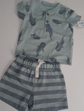 Carter's 2pc Outfit Boy's Shorts + Top Sz 3M